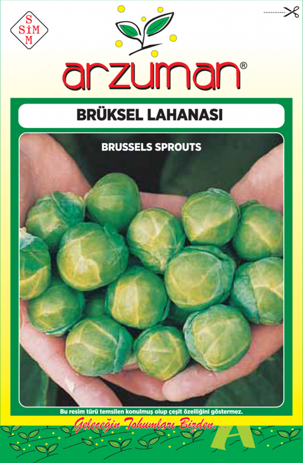 BRÜKSEL LAHANA TOHUMU 200 AD TOHUM - Image 1