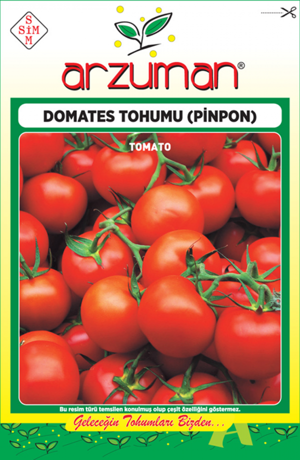 CHERY TİPİ DOMATES TOHUMU 250 AD TOHUM - Image 1