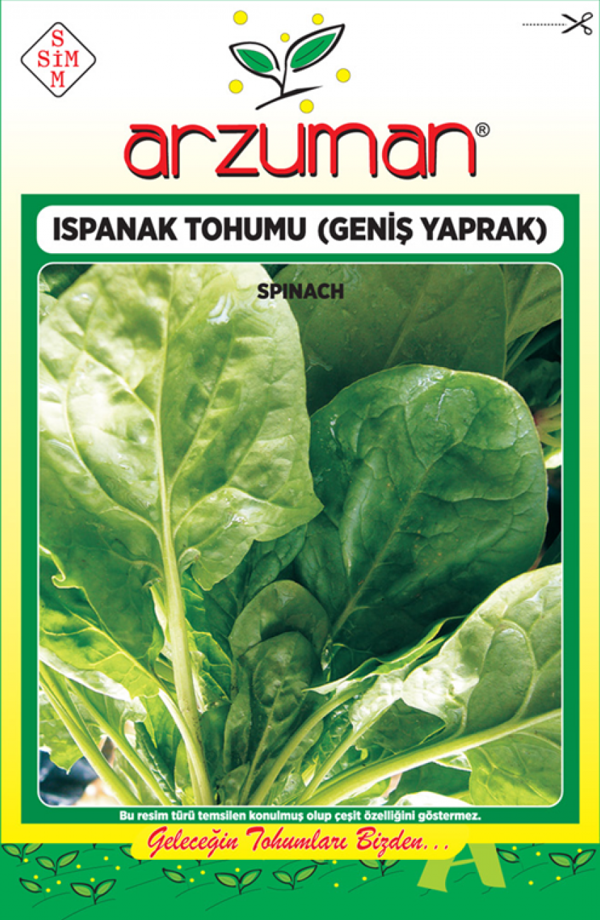 GENİŞ YAPRAK ISPANAK TOHUMU 10 GR ORT 800 AD TOHUM - Image 1