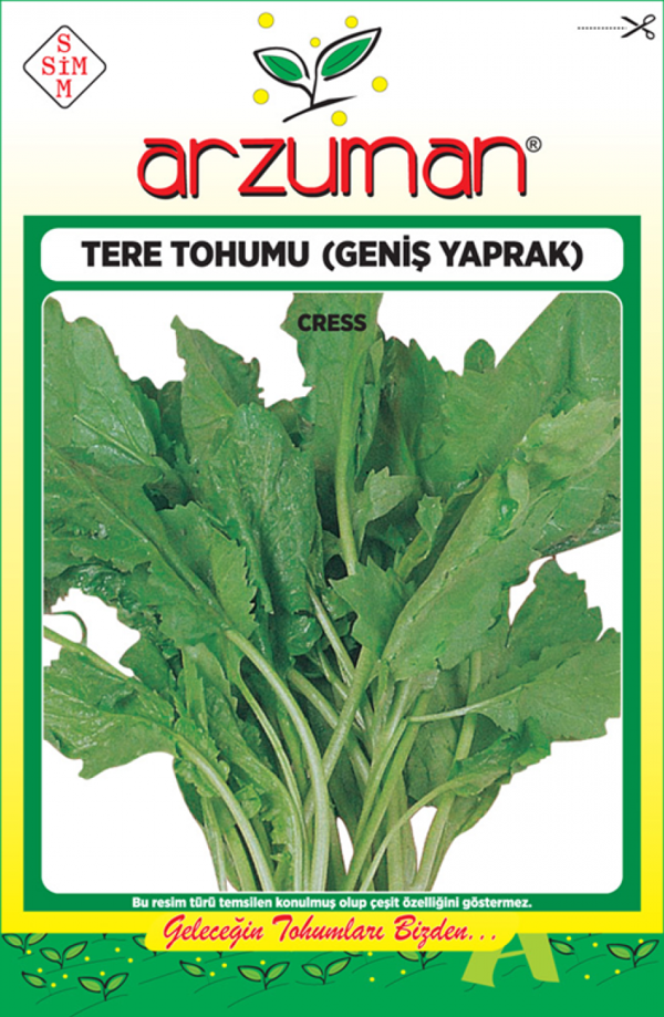 GENİŞ YAPRAK TERE TOHUMU 25 GR 7500 AD TOHUM - Image 1