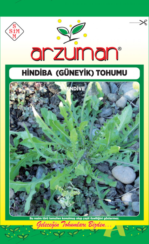 HİNDİBA (GÜYENİK) ACI MARUL TOHUMU 5 GR - Image 1