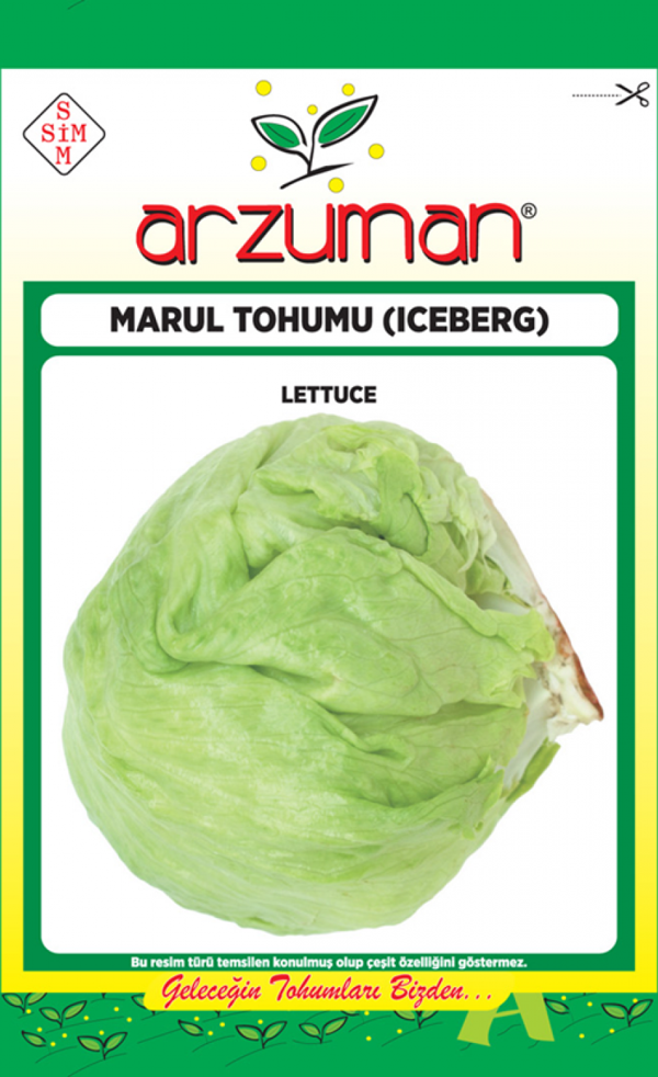 İCEBERG MARUL TOHUMU 5 GR ORT 3750 AD TOHUM - Image 1