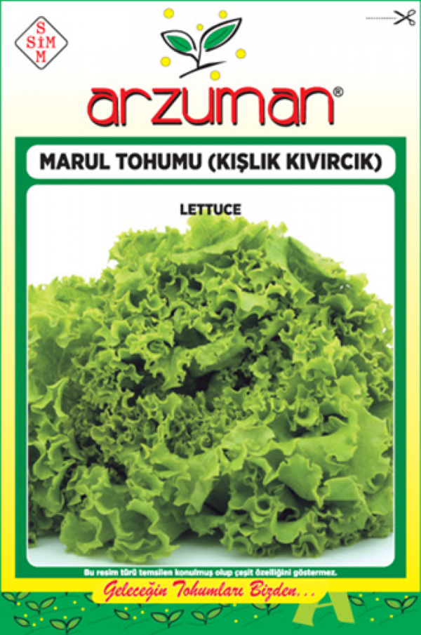 KIŞLIK KIVIRCIK MARUL TOHUMU 10 GR ORT 7500 AD TOHUM - Image 1