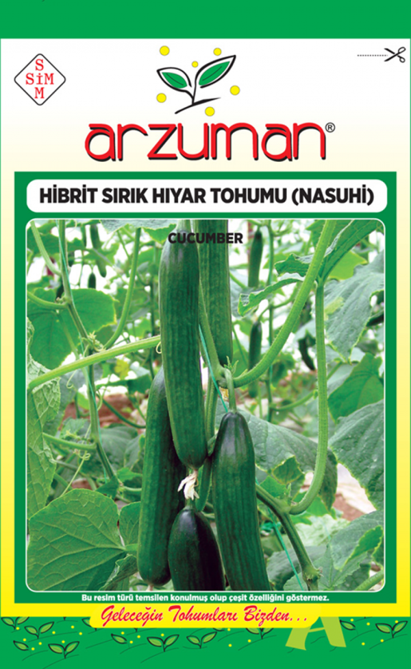 NASUHİ F1 SIRIK SALATALIK TOHUMU 10 AD TOHUM - Image 1