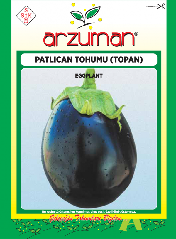 TOPAN PATLICAN TOHUMU 10 GR ORT 2000 AD TOHUM - Image 1