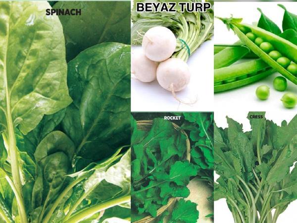 YERLİ 5 ÇEŞİT KIŞLIK TOHUM SETİ NO-3 ORT 500 AD TOHUM - Image 1