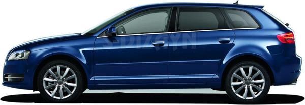 Audi A3 Uyumlu Krom Cam Çıtası 6 Parça 2004-2012 - Image 1