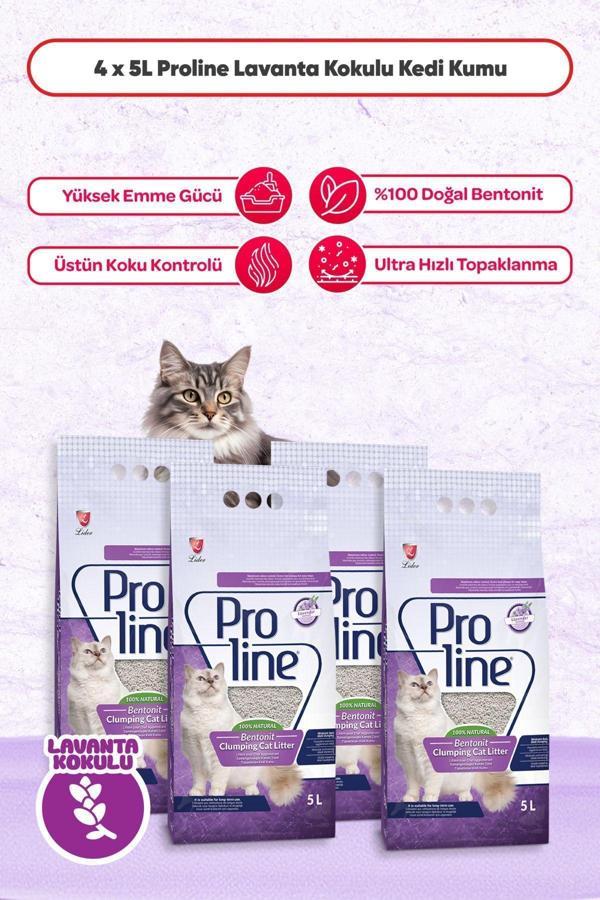 Proline Lavantalı Kokulu Bentonit Kedi Kumu 5 Lt X 4 Adet - Image 1