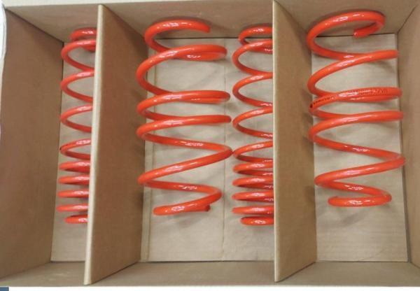 Volkswagen Polo Uyumlu 2009-2017 Xt Springs Spor Yay -50Mm - Image 1