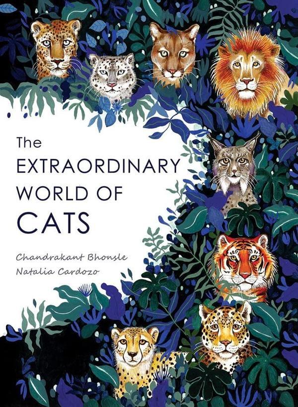 The Extraordinary World of Cats - Dixi Books - Image 1