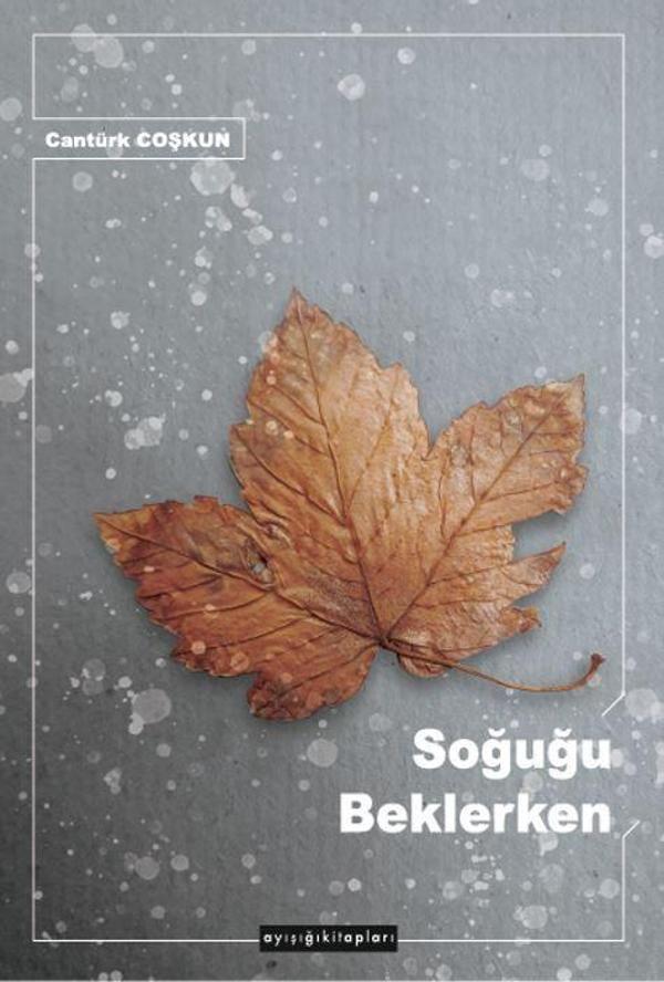Soğuğu Beklerken - Ayışığı Kitapları - Image 1