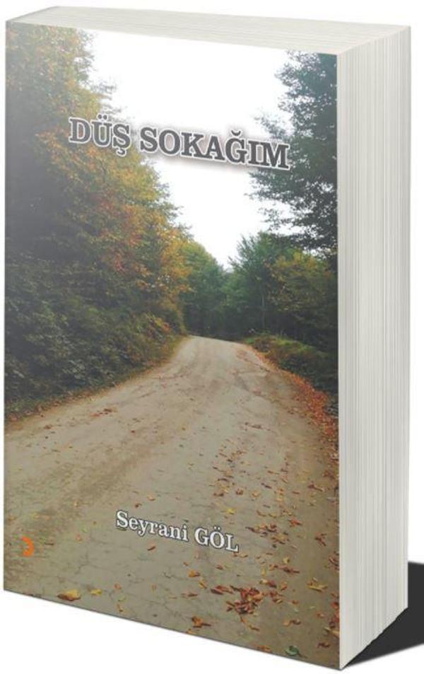 Cinius Yayınevi Düş Sokağım - Cinius Yayınevi - Image 1