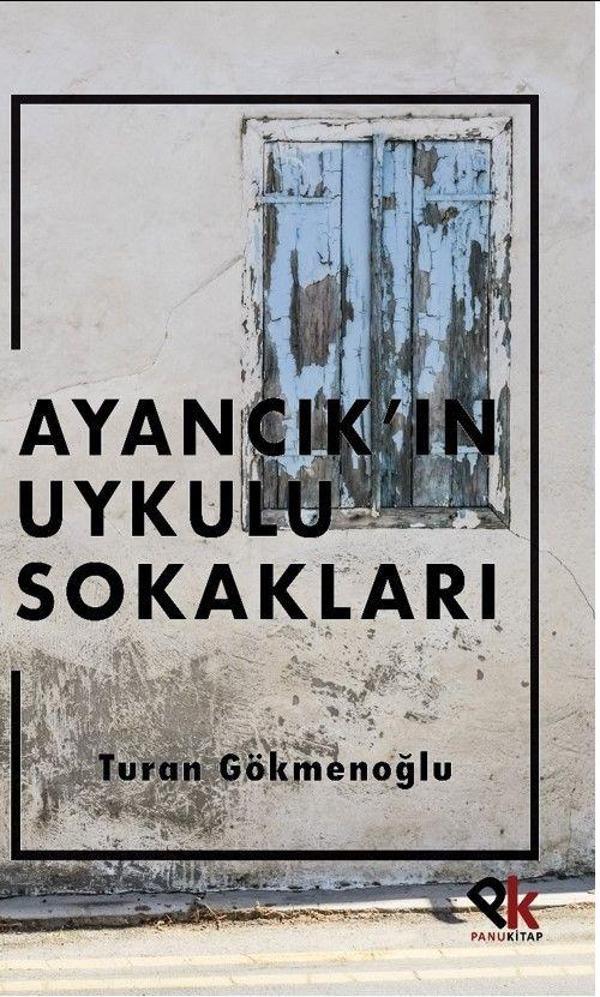 Ayancık’ın Uykulu Sokakları - Panu Kitap - Image 1