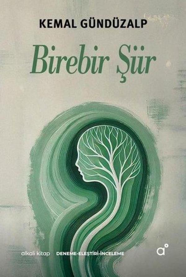 Birebir Şiir - Alkali Kitap - Image 1