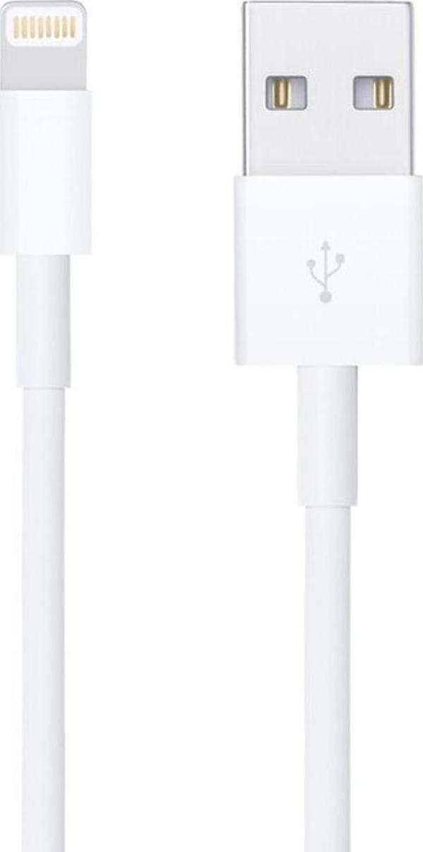 PowerMaster DK-18295 Lightning 1 Metre Iphone Şarj-Data Kablosu - Image 1