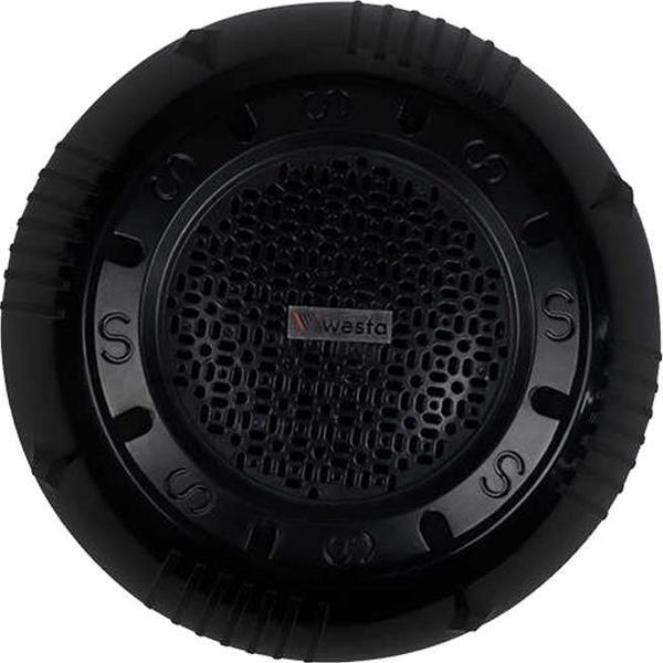 Westa WS-1119TB 13 Cm Sıva Üstü Siyah Tavan Hoparlör - Image 1