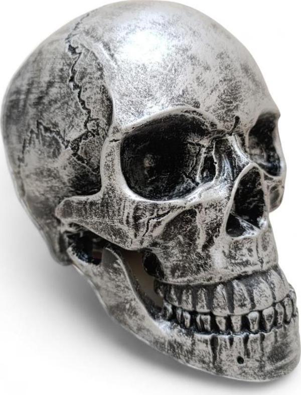 1:1 İnsan Kafası Kafatası Heykeli Dekor Kroki Modeli Heykel - Image 1