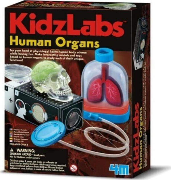 Organlarımızı Tanıyalım Çocuk Bilim Seti 3374 - Image 1