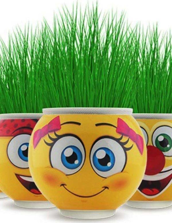 Emoji Çim Adam 5 Adet - Image 1