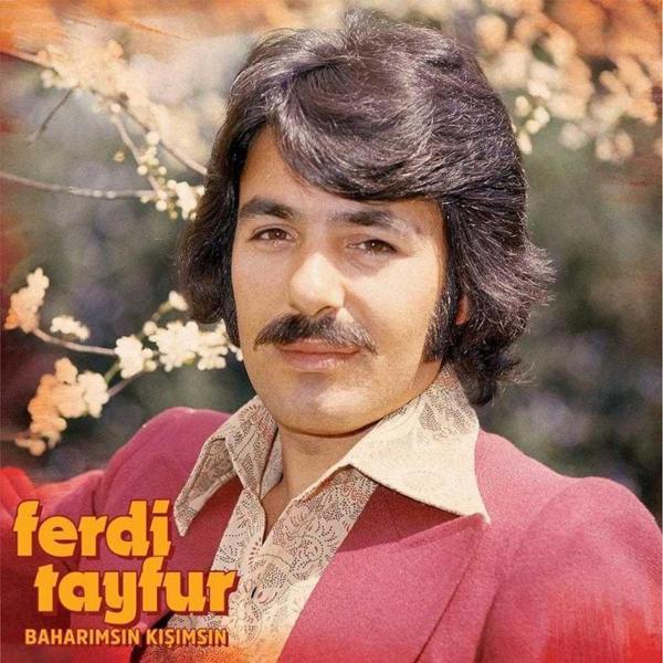 Pal Ferdi Tayfur - Baharımsın Kışımsın (Plak) - Image 1