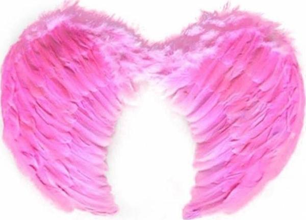 Pembe Renkli Orta Boy Çocuk Melek Kanadı 40X60 Cm - Image 1