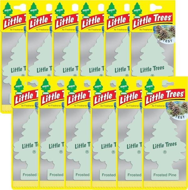 Car Freshner Asma Koku 12'li Buzlu Çam - Image 1