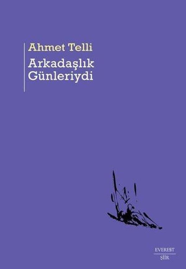 Arkadaşlık Günleriydi - Everest Yayınları - Image 1
