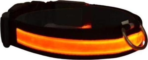 Petzz Işıklı Ayarlanabilir Flaşörlü Kedi ve Köpek Boyun Tasması Kırmızı 40-48 Cm / 2.5 Cm - Image 1