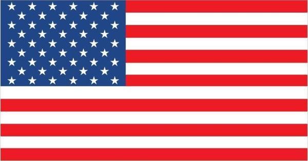 Saray Amerika Bayrağı 50X75 - Image 1