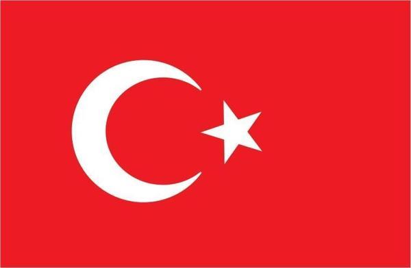 Saray Türk Bayrağı  80X120 - Image 1