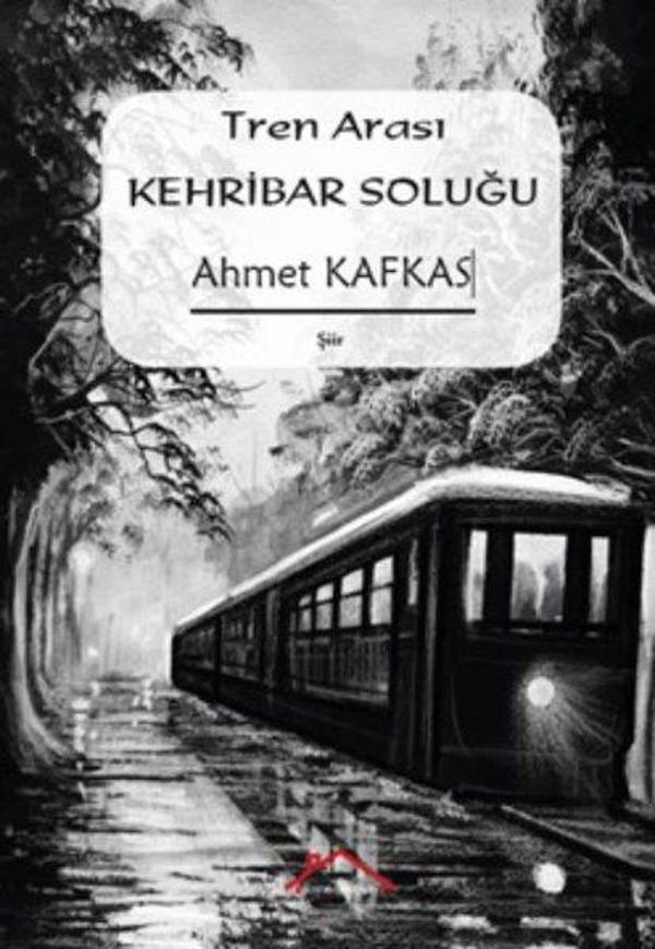 Tren Arası Kehribar Soluğu - Kırmızı Çatı - Image 1