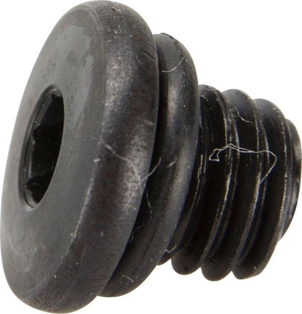 Shimano Yağ Doldurma Hava Alma Vidası (M5 x 4.7) XTR - Image 1