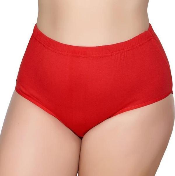 12 Adet Gümüş Bayan Renkli Ribana Bato Külot 3041 - Image 1