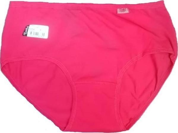 Tutku Bayan Likralı İnce Lastik Külot % 100 Pamuk Renk Seçenekli 925 - Image 1