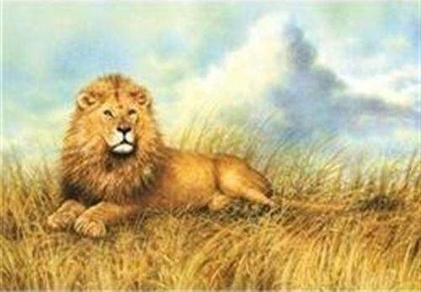 The King 1000 Parça Puzzle (40938) - Image 1