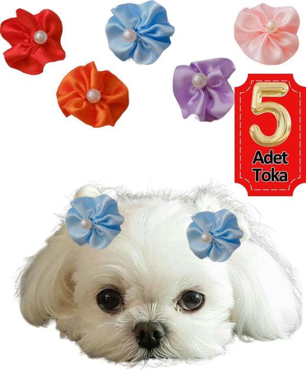 Hubjua Royal Çiçek Kedi Köpek Tokası 5 Li Set Karışık Renklerde Hbyoll, One Size - Image 1