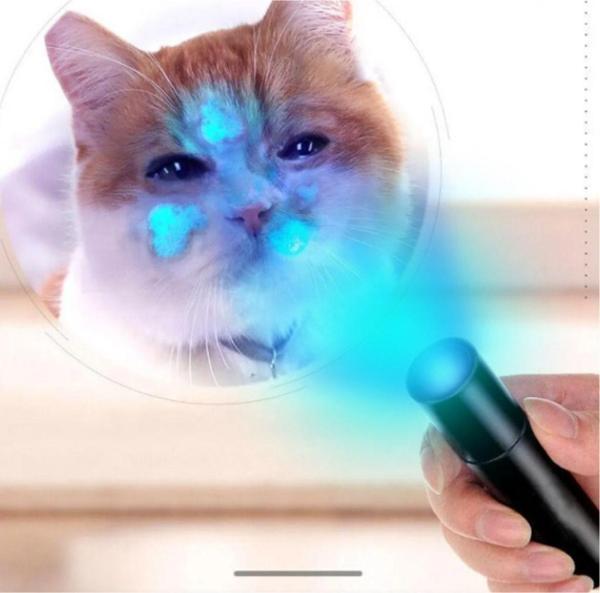 Hubjua Royal İdrar Gösteren Uv Işıklı Büyük Boy El Feneri Ultraviyole Kedi Köpek Mantar - Image 1