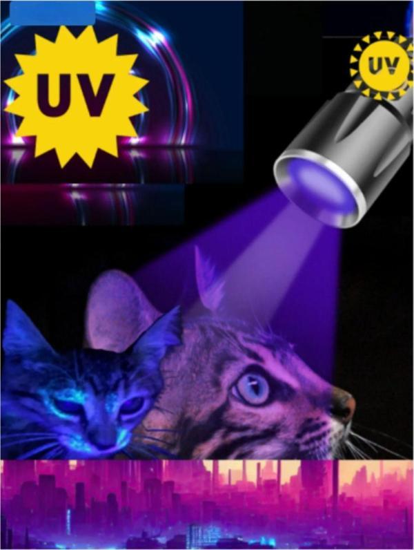 Hubjua Royal Mantar İdrar Gösteren Uv Işık Ultraviyole El Feneri Kedi Köpek - Image 1