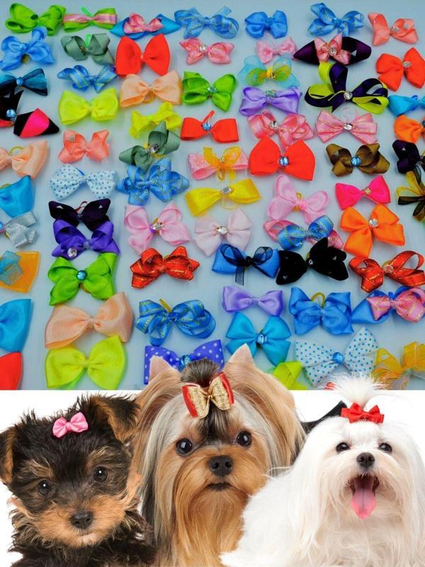 Hubjua Royal Köpek Toka Karışık 20 Adet Taşlı Lüx Aksesuar Lastikli Toka - Image 1