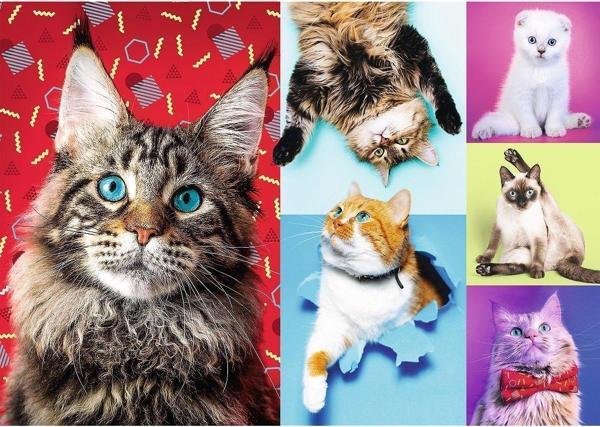 Trefl Puzzle Happy Cats 1000 Parça Puzzle - Image 1
