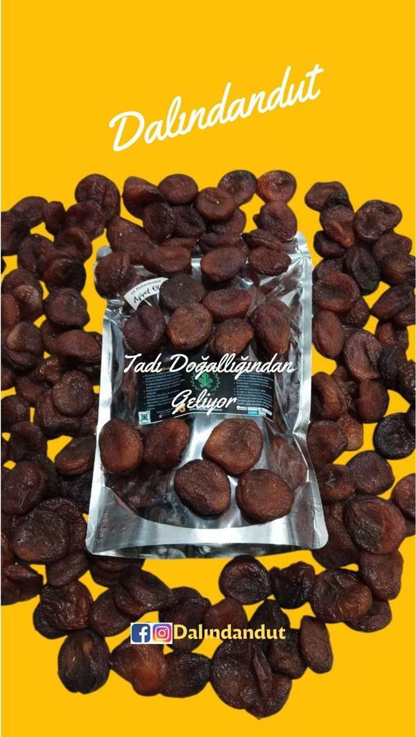 Dalındandut Yeni Mahsül Doğal Organik Gün Kurusu Kayısı Jumbo Boy 250 Gr - Image 1