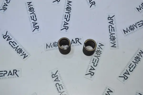 RK 19110 RKS SPONTİNİ 110 SUBAP YAY TAKIMI - Image 1