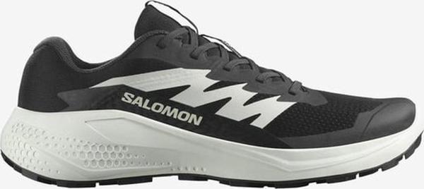 Salomon ALPHAGLIDE Erkek Ayakkabısı L47801000 - Image 1