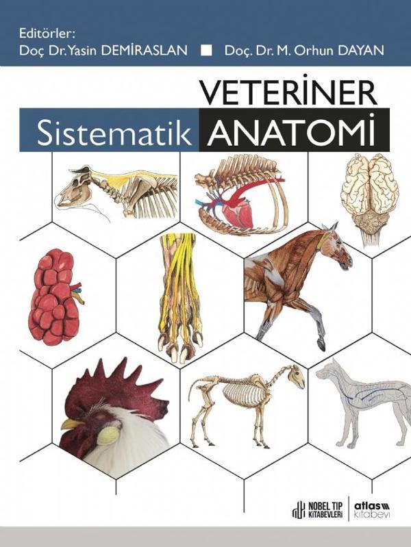 Veteriner Sistematik Anatomi - Atlas Yayın Dağıtım - Image 1