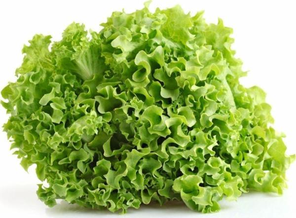 Alpagro Monde Doğal Marul Arapsaçı 1000 Ad. Tohum - Image 1