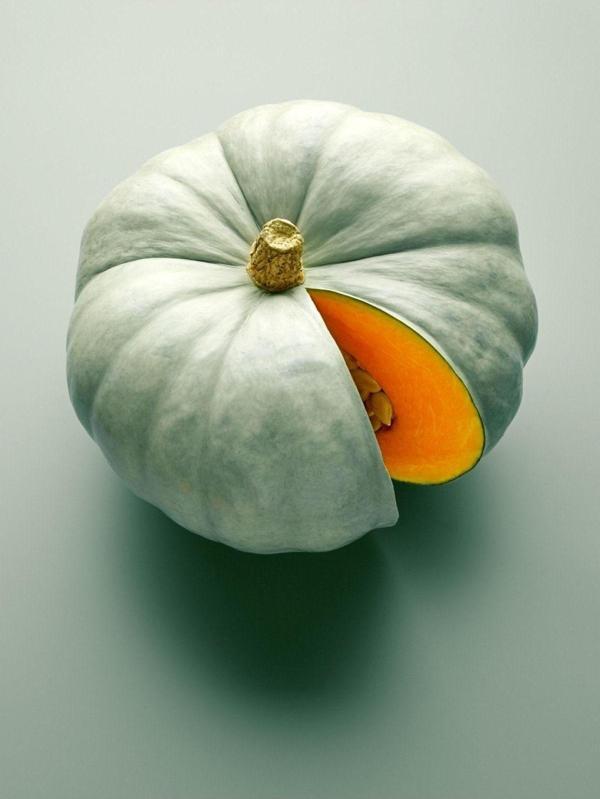 Agrodal Tarım Ata Tohumu Yerli Doğal Kışlık Balkabak Arıcan 97 Balkabağı 20 Ad. Sebze Tohumu - Image 1