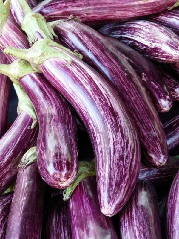 Agrodal Tarım Ata Tohumu Yöresel Doğal Yerli Meşhur Çizgili Patlıcan 100 Adet Tohum - Image 1