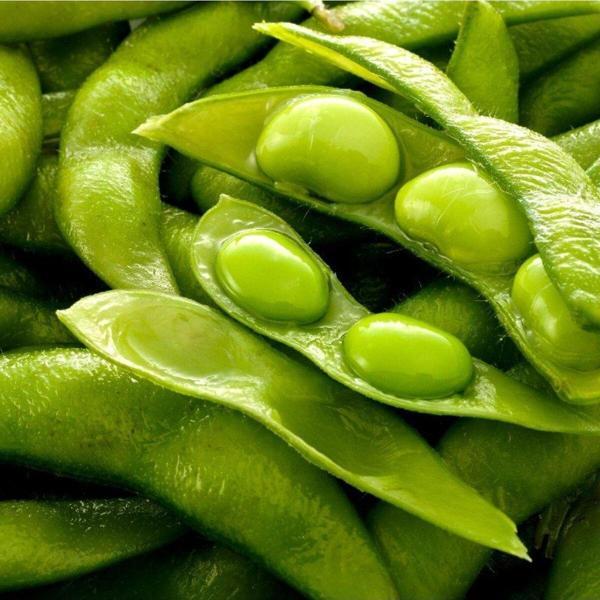 Agrodal Tarım Yerli Doğal Soya Fasulyesi Tohumu 50 Adet Tohum - Image 1