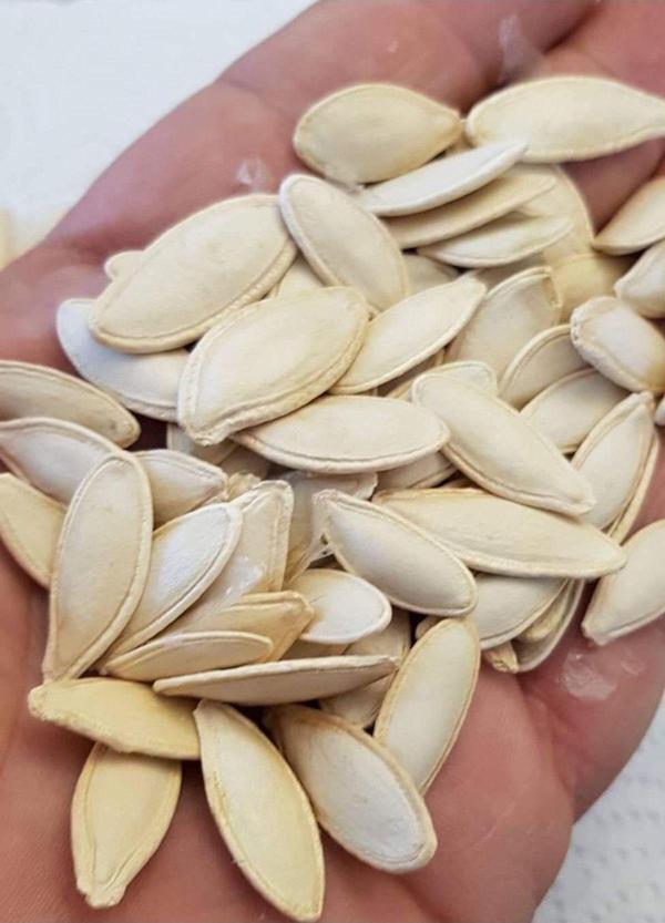 Agrodal Tarım Ata Tohumu Yerli Doğal Çerezlik Kabak Çekirdeği Ürgüp Hanım Tırnağı Tohumu 20 Ad Sebze Tohumu - Image 1