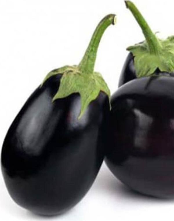 Alpagro Monde Doğal Topak Patlıcan Sebze Tohumu Topan 100 Ad. Yerli Tohum - Image 1